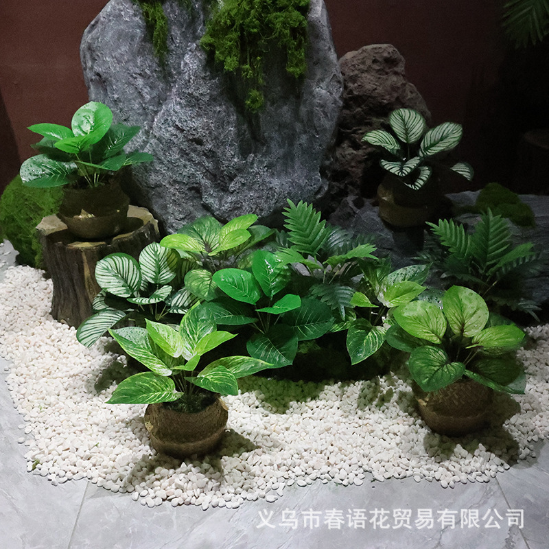仿真绿植假花摆件万年青小盆栽办公桌面室客厅茶几植物摆设装饰品
