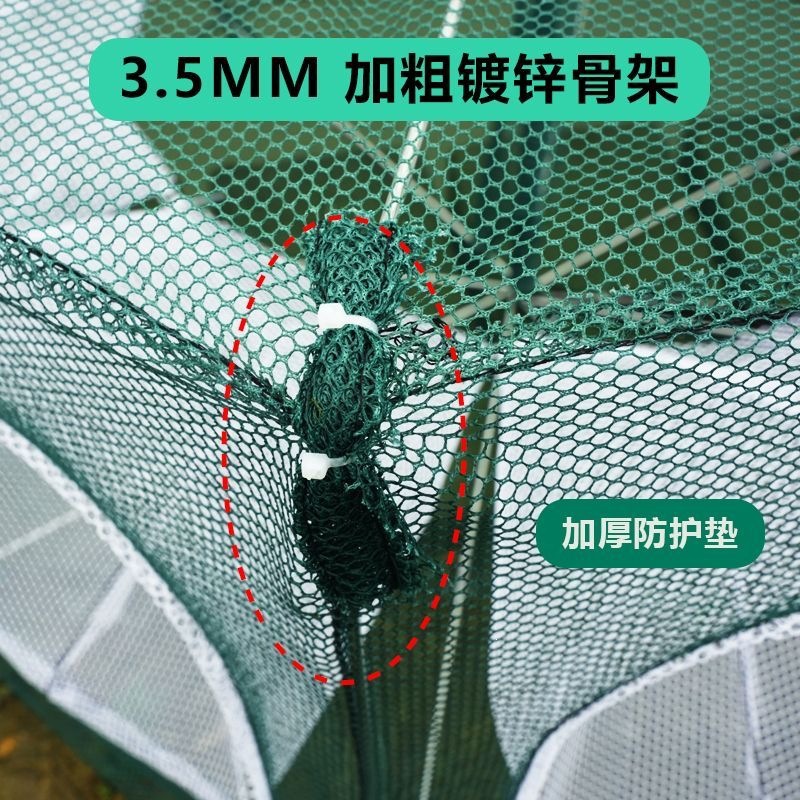 扇形折叠鱼笼抓鱼神具渔网笼捕大鱼笼鱼虾笼进口八孔鱼笼加厚加粗