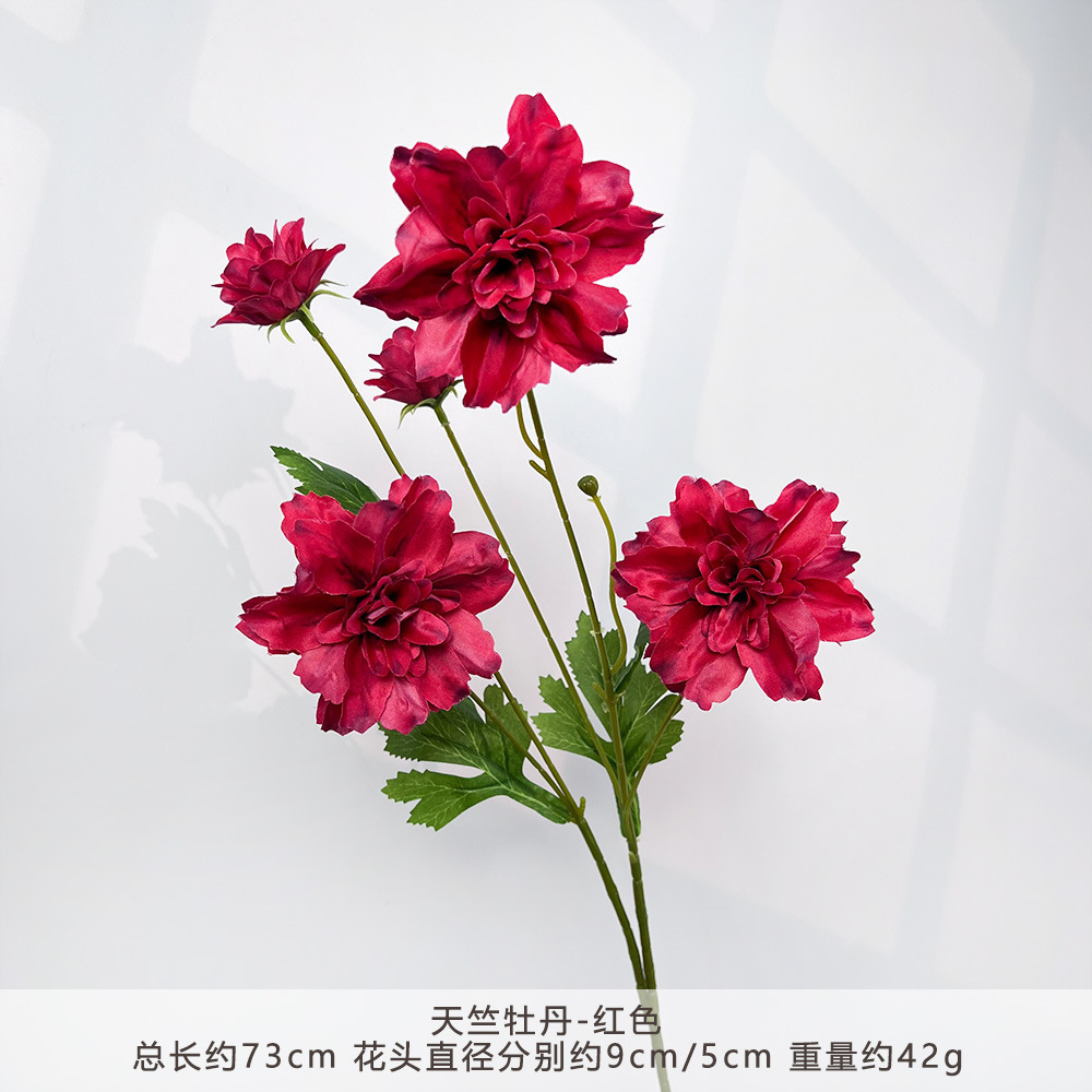 Mj-south indian peony-red