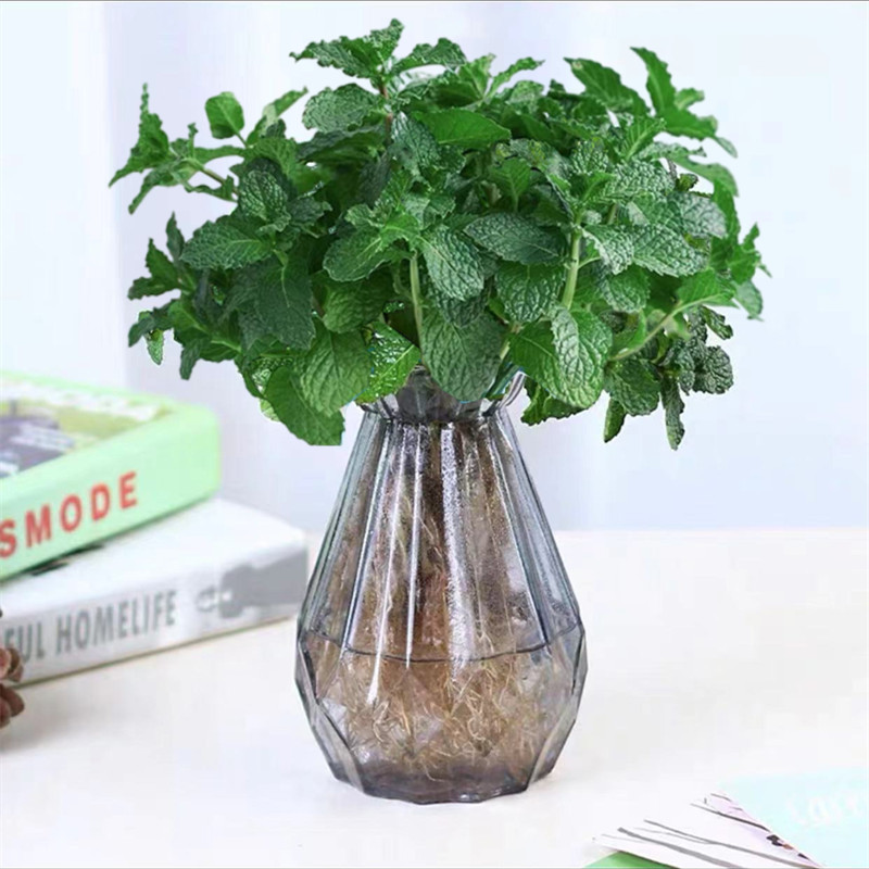 [신수경재배] 민트 10개(다이아몬드 그레이 유리병) 선택 시 크리스탈 머드 무료 +