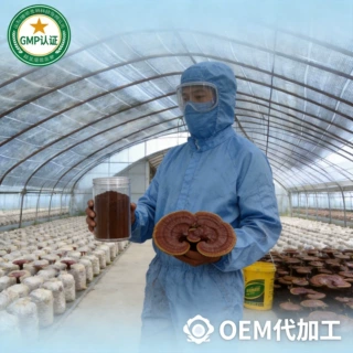 破壁灵芝孢子粉原料供货OEM贴牌破壁灵芝孢子粉OEM贴牌代加工