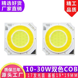 LED电源;其他LED光源;COB LED