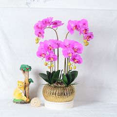 仿真花蝴蝶蘭套裝陶瓷大盆栽盆景裝飾假花絹花擺件廠家直銷批代發