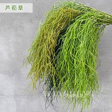 �����J������횲ݻ�Y�þGֲܛ�b��Y�b�c�û��쾰�L�ֲ�