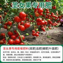 �}Ů�����ь����ЙC�ͺϷʵ׷�׷�ʾ�ጷ�΢��Ԫ�ؘ����w���~���