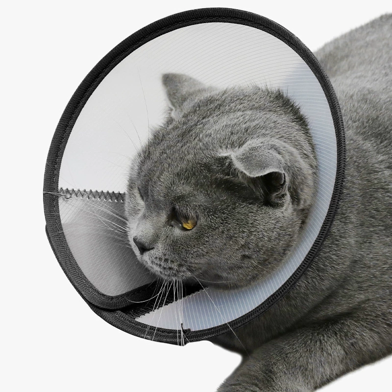 Новый питомец Элизабет Твил домашний головной убор с защитой от укусов кольцо на шею красота защитный чехол кошка собака послеоперационный ошейник