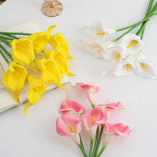 PU�R��ɏ���滨�ٻ���c�������Ҿ��b������[�����R�d�羳���l