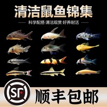 ��̦�������~�����Ꭷ�^�p�~�׻��w����ԼS�������坍�~�����~