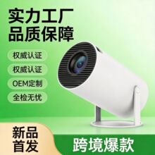 �¹�2026�¿�羳��ƷHY300Pro��������������ͶǽС��4K�����Я