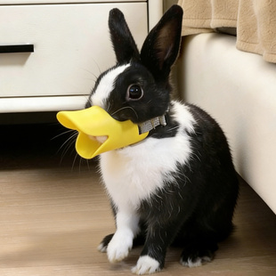 �������׌�����y�Է�ҧ�˰ǵ���ȫ���o�ù���ͨ�É�����������