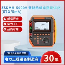 ��ԇ���ZSDMH-5000V ���ܽ^�����yԇ�x(5T&Omega;/5mA)����ʽ�ךW��