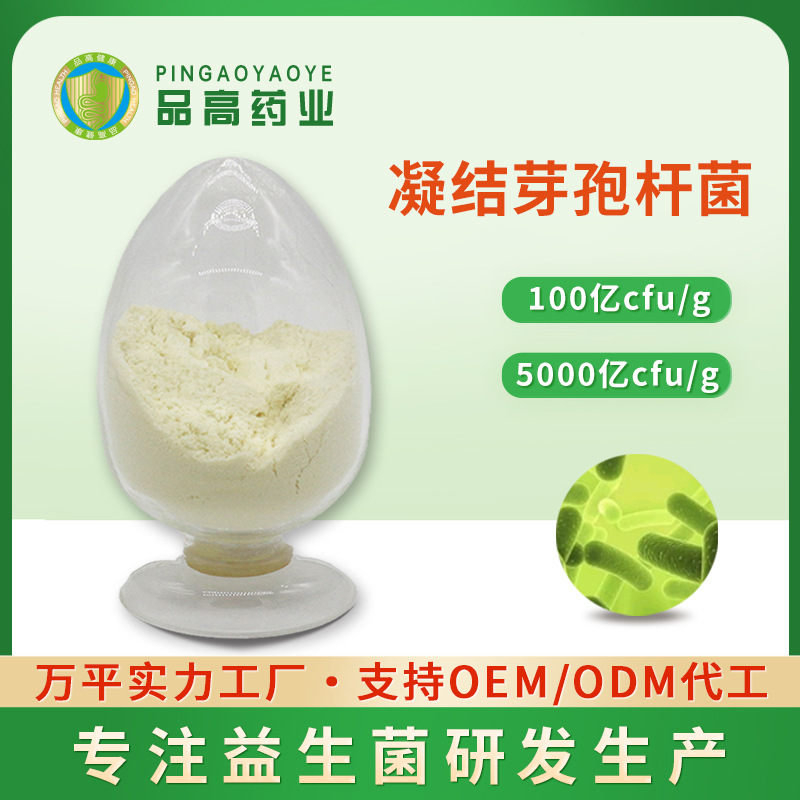 凝结芽孢杆菌100亿/g 耐热型益生菌原料 现货营养添加剂乳酸菌粉