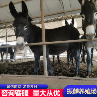 ���H�x �������H����С�H ���N�H�����H�H��N�HС�H�x����