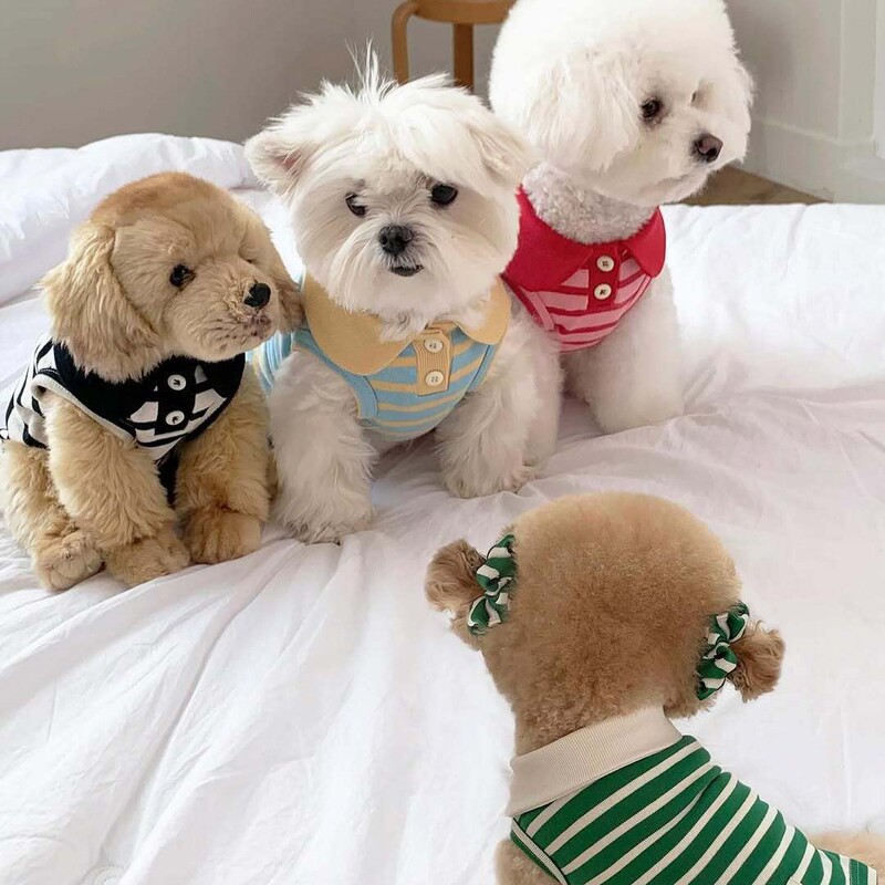 秋の薄いストライプベストシュナウザーテディビション小型犬犬服猫デボン猫服|undefined
