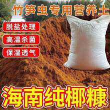 竹笋虫养殖土象鼻虫养殖料海南椰糠脱盐养殖土竹虫粗细椰砖营养土