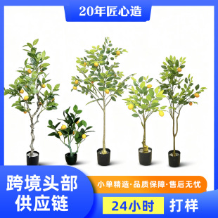 羳Rd晎ʘ҃辰СֲGֲ晎ʘ