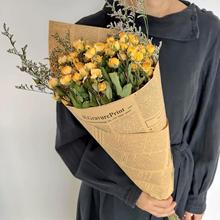 õ��ɻ��滨���^Сõ����ϻ���̩�����տ�ֱ�l����