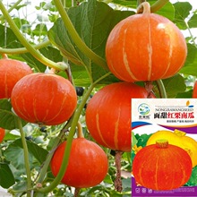 һƷ�t�����ϹϷN��������Ŵ�۱����h�ձ��x��������Ϲϴ������