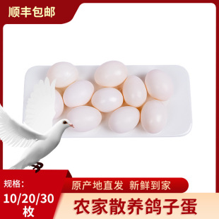 �����x����S��������10/30öɢ�B�������Ӱ������������u���B��