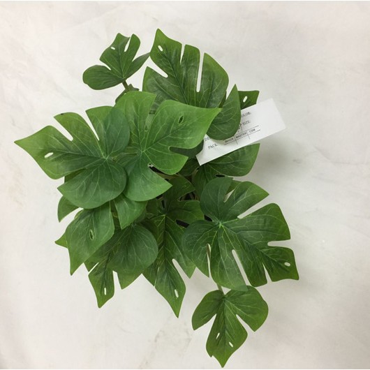 8300 (화분에 심지 않은 경우) 거북잎 12개 (최소 주문량 48개)