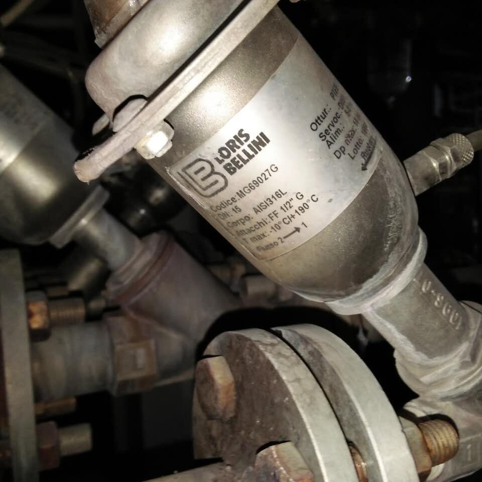 LORIS BELLINI 过滤器MG690249 AISI316L FF  1/2“G