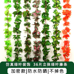 ���������~�ٻ��ٗl����ֲ����~�G�~ˮ�ܵ�����b����ϾG�}�p�@