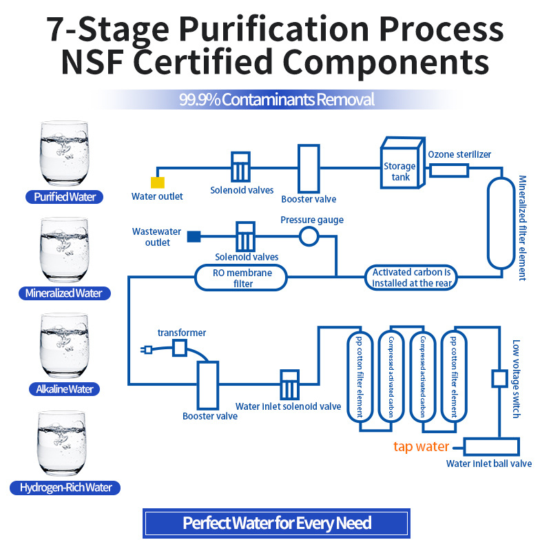 Comercio exterior exportación RO