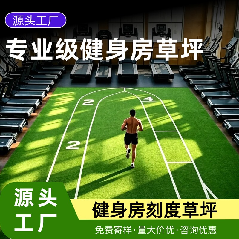 Gym Track Patterned Turf Scale Personal Trainer Door Ball Grass Football Field Artificial Turf Simulated Turf Indoor