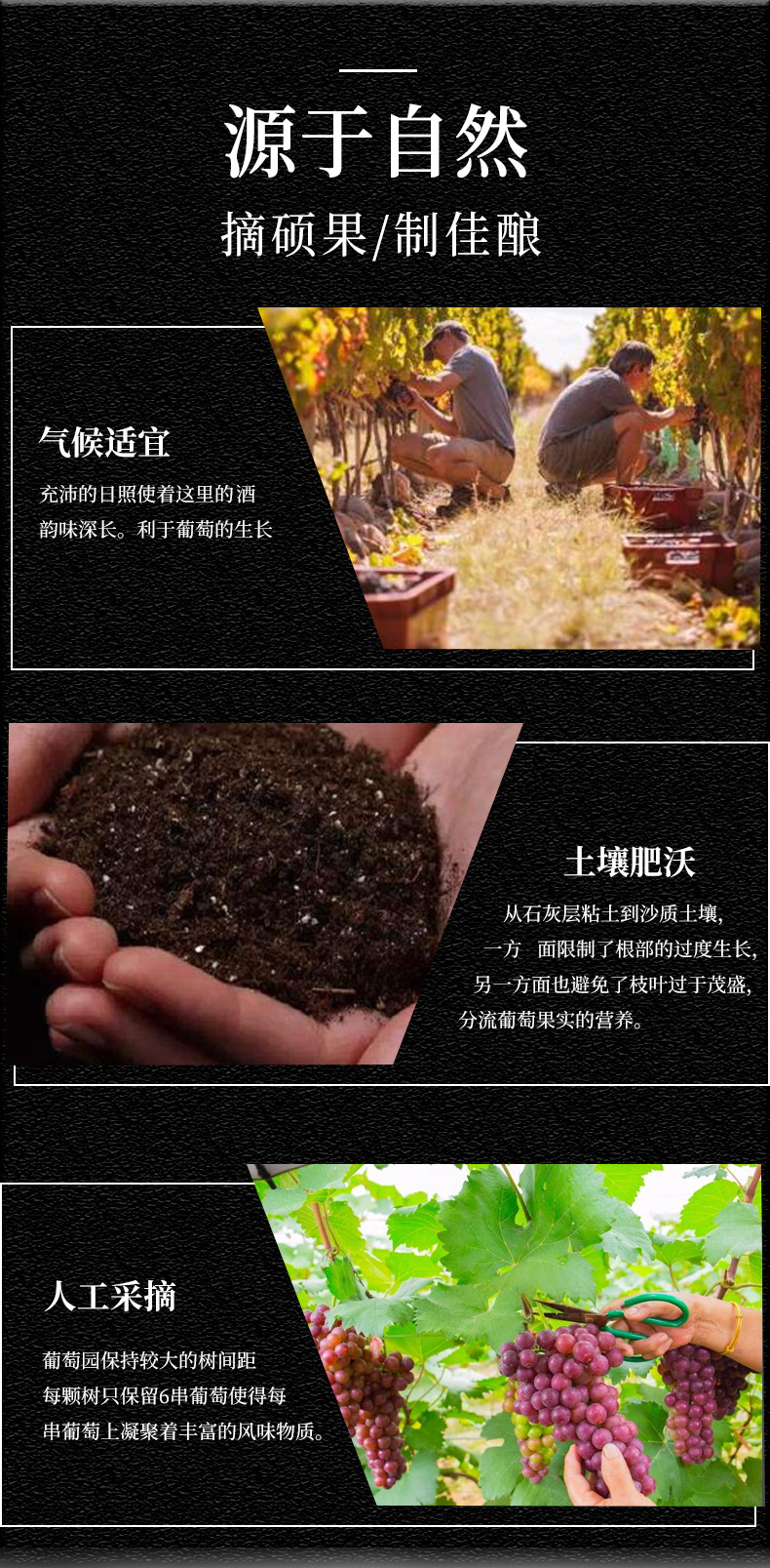 O1CN01VS2vne1LlIzVXgTZc_!!2207