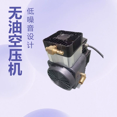 For New Energy Vehicles Variable Frequency Low Noise 1.1Kw Electric 220V Compressor (Hava kompressorları)