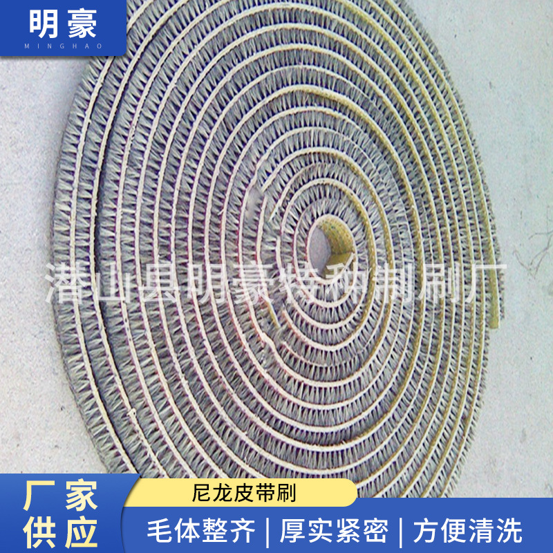 厂家批发 植毛皮带刷 尼龙皮带刷 穿线皮带刷 各种皮带刷