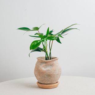 ���P �͹��ֹ������չ޻���