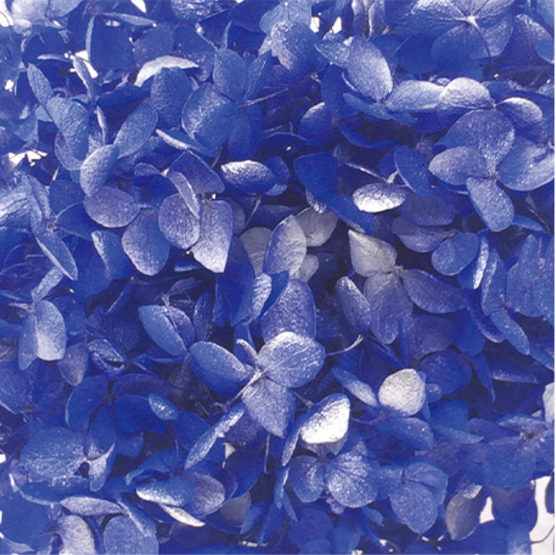 Anna hydrangea zafiro azul + silver-20g/caja