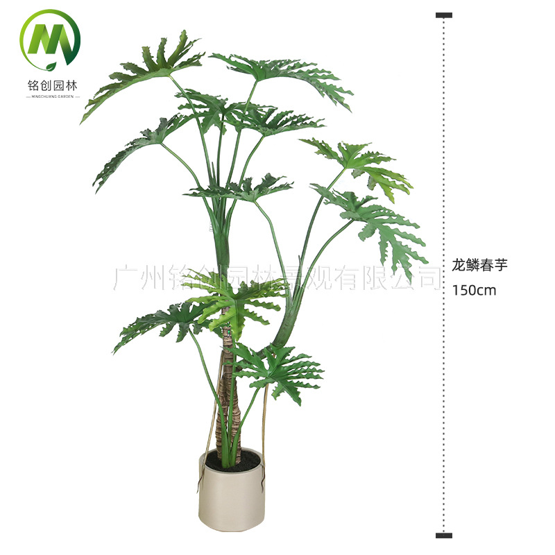 Simulación de interior Planta verde Simulación de plantación de disco Escala de dragón Taro de primavera Sala de estar Balcón Simulación Planta verde falsa Oficina Bonsai