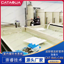 加拿大工厂化室内循环水龙虾低温暂养项目循环水产养殖水处理设备