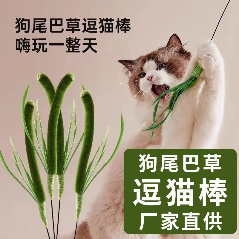 Cat Toy Dog Tail Grass Funny Cat Stick Long Pole Bite-Resistant and Scratch-Resistant Self-Pleasure and Boredom Relief Handheld Cat Toy Pet Supplies Cat Toy Dog Tail Grass Funny Cat Stick Long Pole Bite-Resistant and Scratch-Resistant Self-Pleasure and Boredom Relief Handheld Cat Toy Pet Supplies