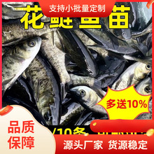 �����~����^�~�����I���^�~�����^�~��ˮ�Bֳ�I�~��ʳ�û����~��