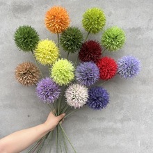 ��֧�pɫ�����[�����[���üٻ���c��Y���b廨�����쾰��