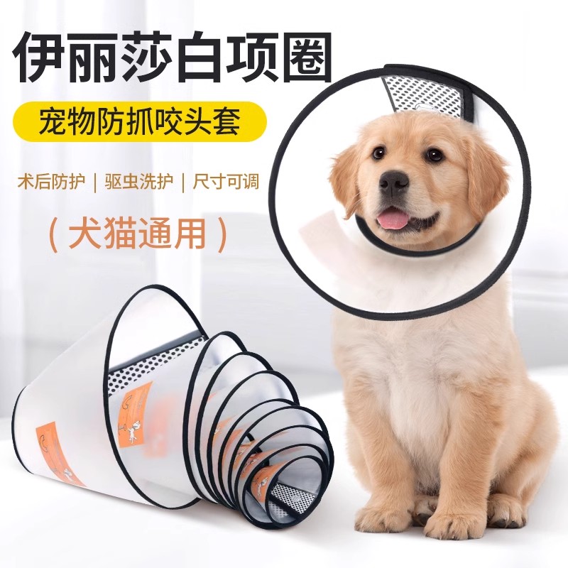 包邮伊丽莎白圈宠物头套狗圈猫圈防咬耻辱头罩批发狗脖套防护厂家