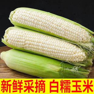 �V�����r�Fժ��Ŵ����3/5/9�����������߲ˮ������װ��ӎ�����