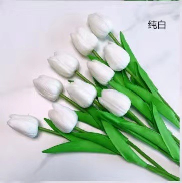 7ecd7c4f19694360135730cd06e6b4