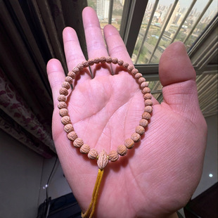 С���y�Һ�36�w���؎X��������