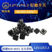 12X12X7.3���IB3F4055 12*12*7.3 �p�|�_�P ���^����
