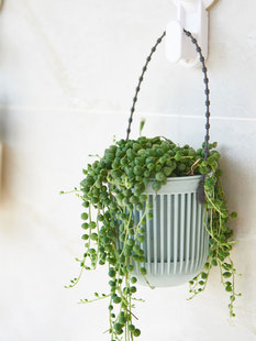 Succulent Flower Pots, Gardening Green Plants, Plastic Pots, Mini Creative Hanging Orchid Pots, Indoor Window Sill Wall Hanging Small Flower Pots