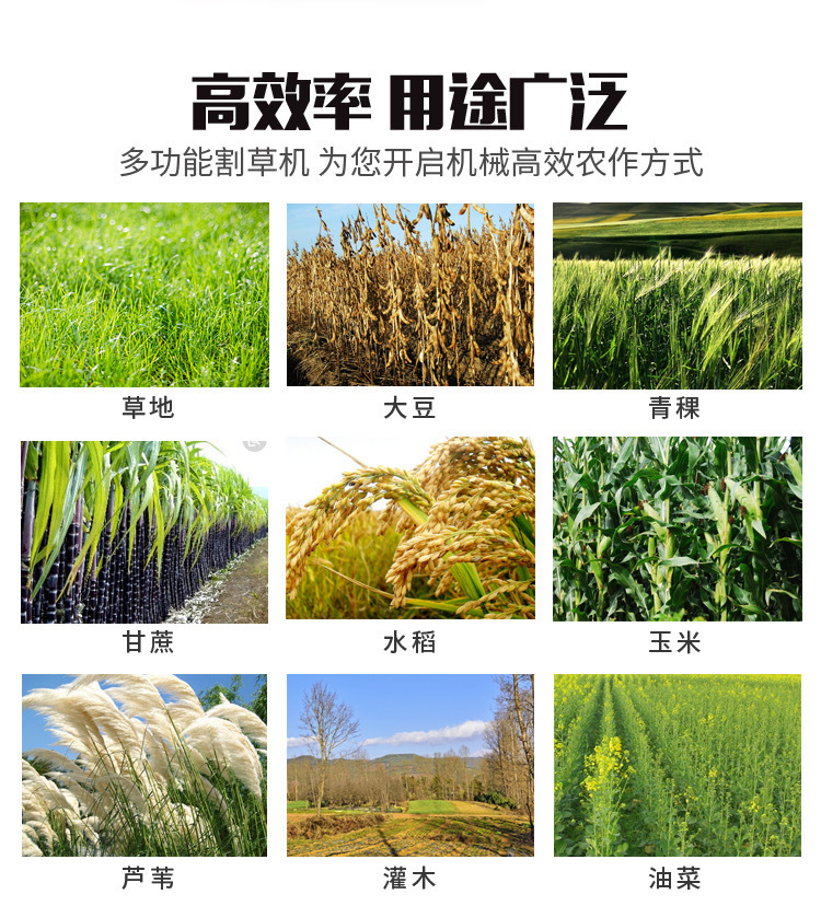 O1CN0161zXD21K1Dct9e1wt_!!2214