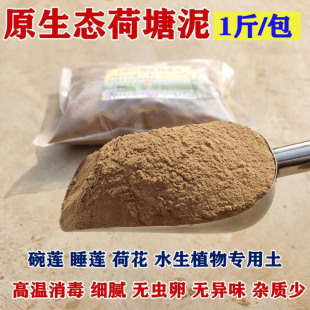 ��������ɏ˯ɏ�������������]�ɻ����������ˮ��ֲ��I�B���l