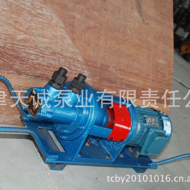 小型双螺杆泵2G/不锈钢泵/润滑泵/移动泵/食品泵/螺旋转子泵