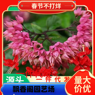 һ�����l�t�������黨�紹�z�����箔���_���ֲ̨��ͥԺ�ٱ���
