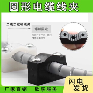 ��|�A늾��A�ξ��A��̖��̖С̖ �����^�T���A ���̶��� ���� ��