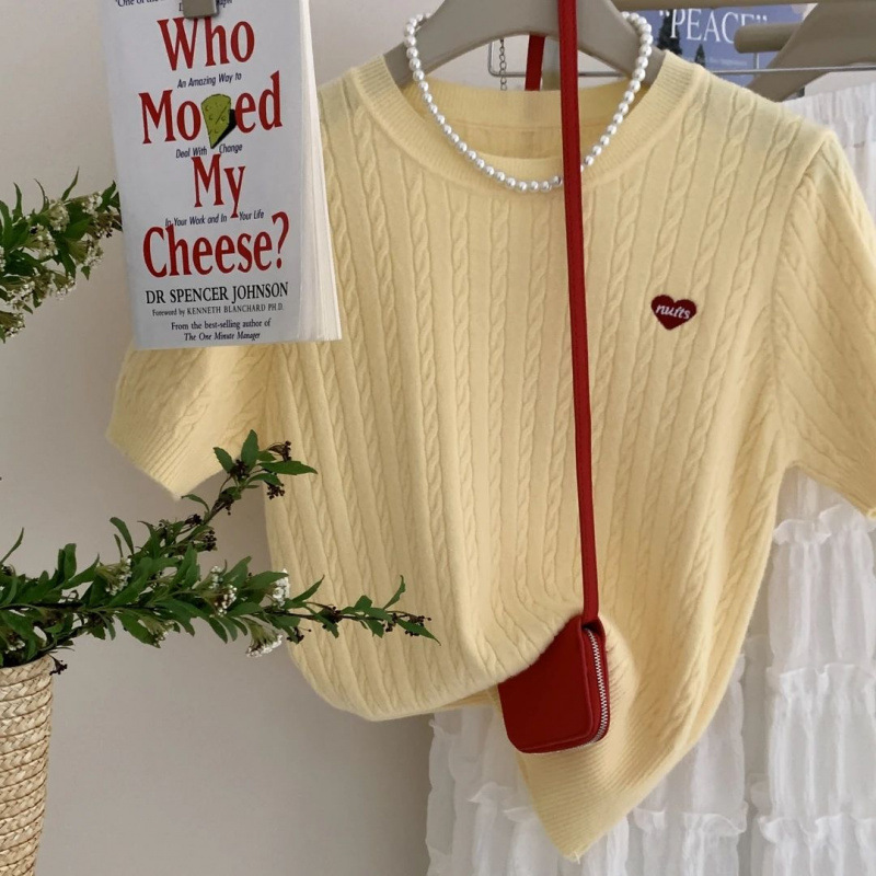 Design Sense T-shirt Soft Waxy Short-sleeved Shoulder Top Embroidered Thin Korean Style Age-reducing Twist Embroidered Knitted Sweater for Women Summer